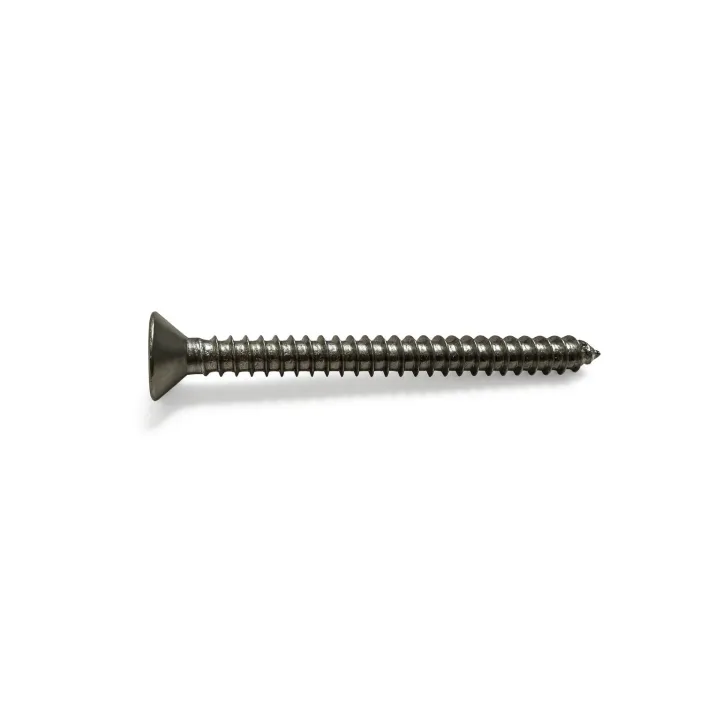 2 Vis tole inviolables fraisee Snake eye Inox A2 vue