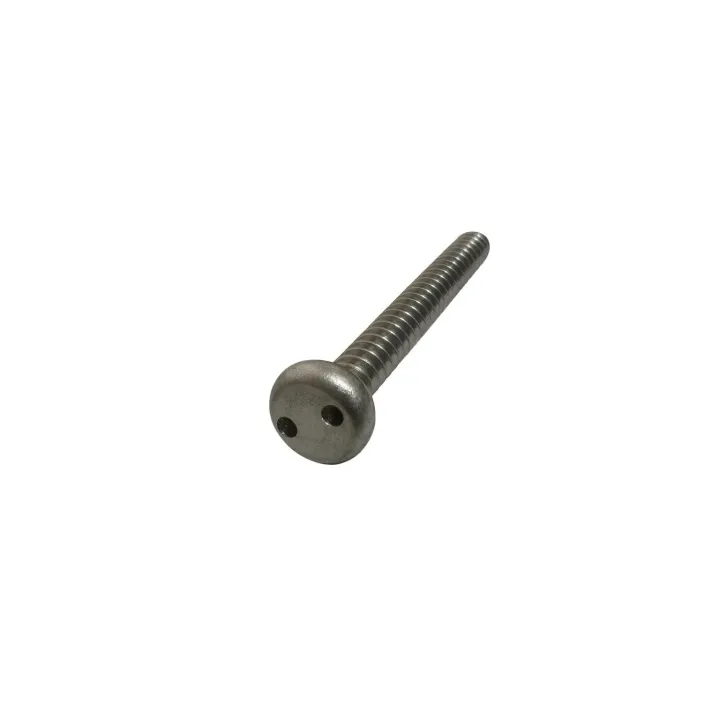 1 Vis tole inviolables cylindrique Snake eye Inox A2 vue