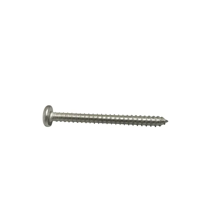 2 Vis tole nviolables cylindrique Snake eye Inox A2 vue