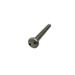 1 Vis tole inviolables cylindrique Snake eye Inox A2 vue