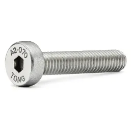 1 Vis CHC basse DIN 7984 Inox A2. vue