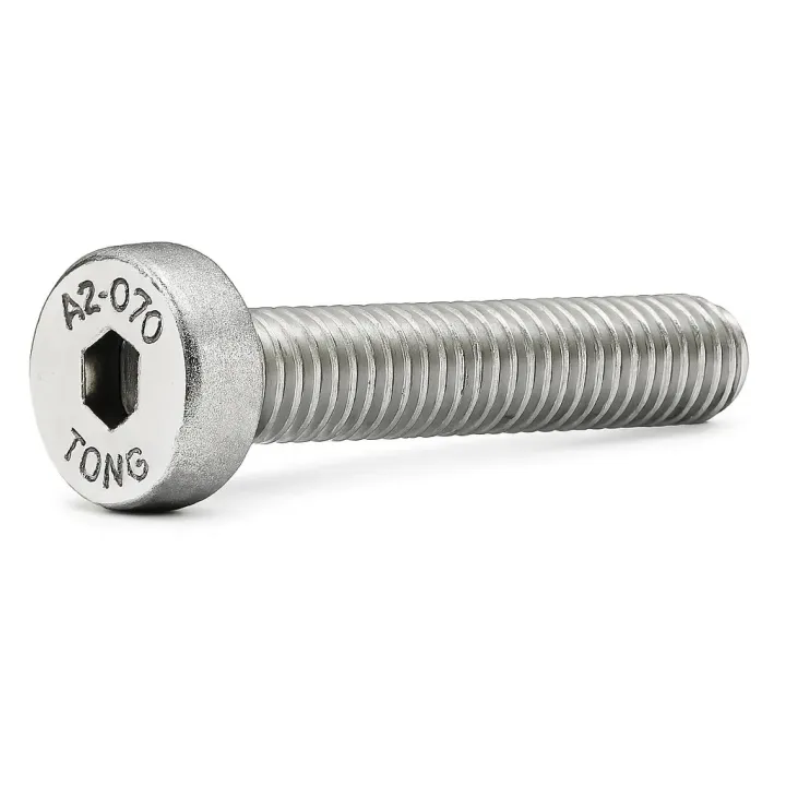 1 Vis CHC basse DIN 7984 Inox A2. vue