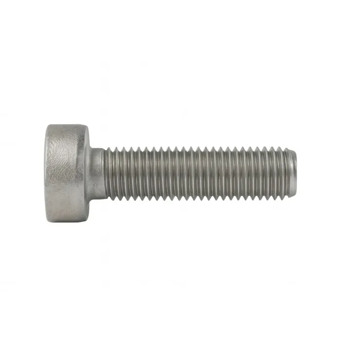 2 Vis CHC basse DIN 7984 Inox A2. vue