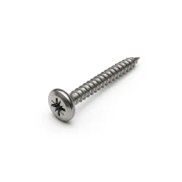 1 Vis pour agglomere cylindrique empreinte pozidrive vue