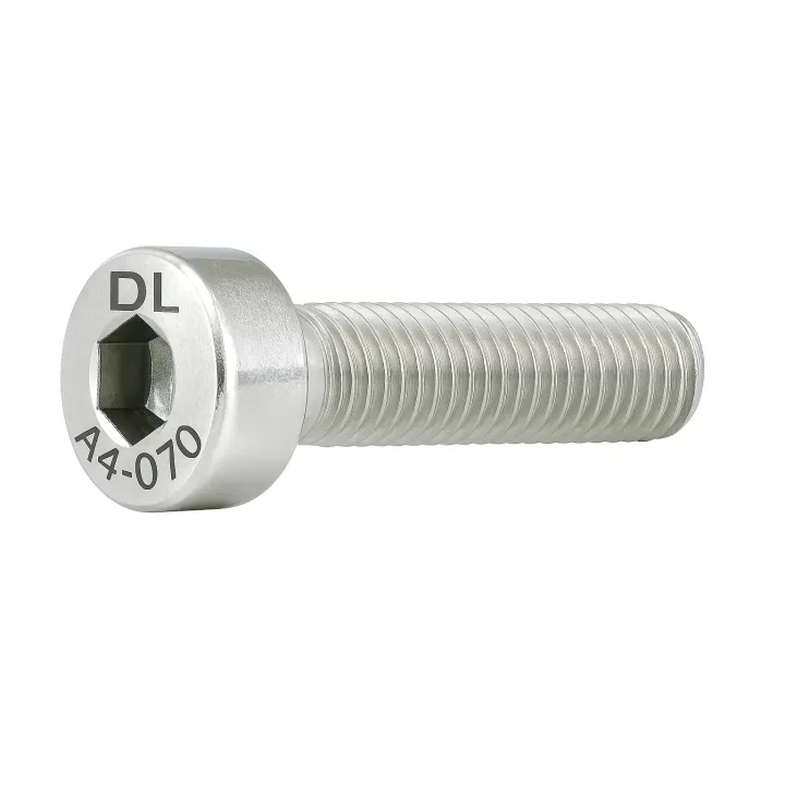 1 Vis CHC basse DIN 7984 Inox A4. vue
