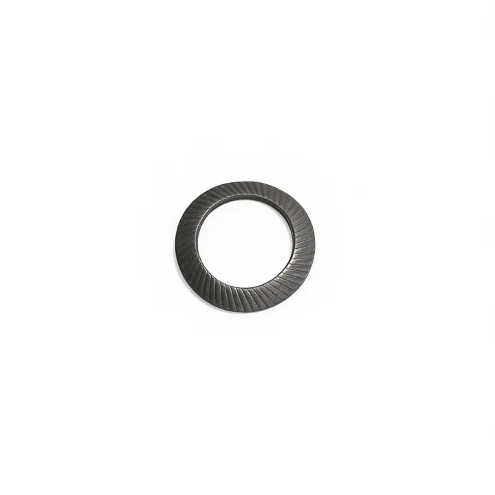 Rondelle ressort Type Schnorr S acier M4 - Brut