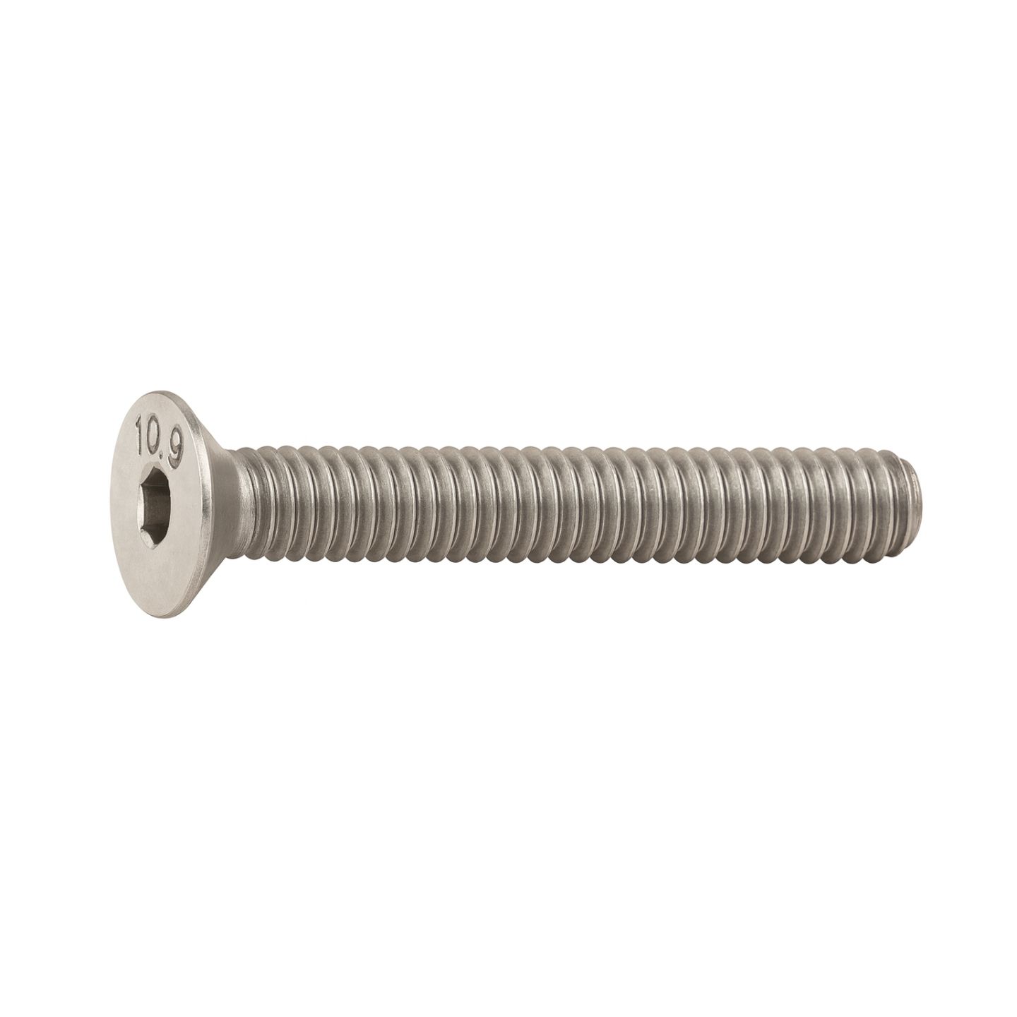 M6x55mm entièrement acier inoxydable 304 vis tête bombée collet carré