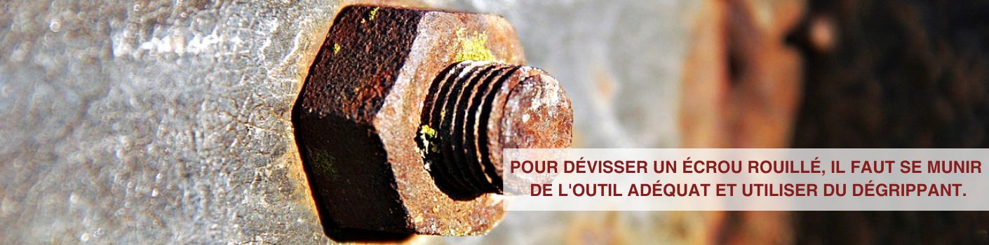 Outil retrait d'écrou pour enlever boulons dénudés arrondis écrous rouillés  B E4